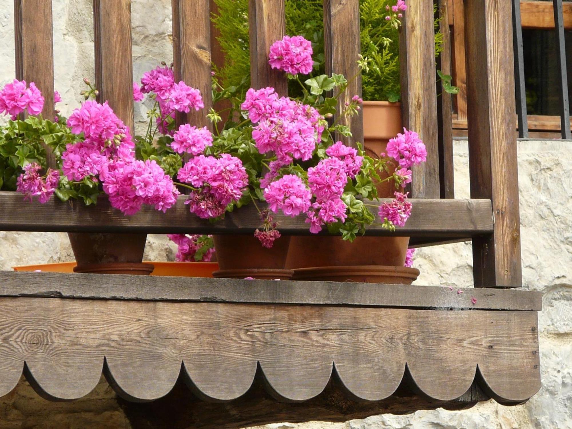 Hotel Rural Zalama San Pelayo  Екстериор снимка
